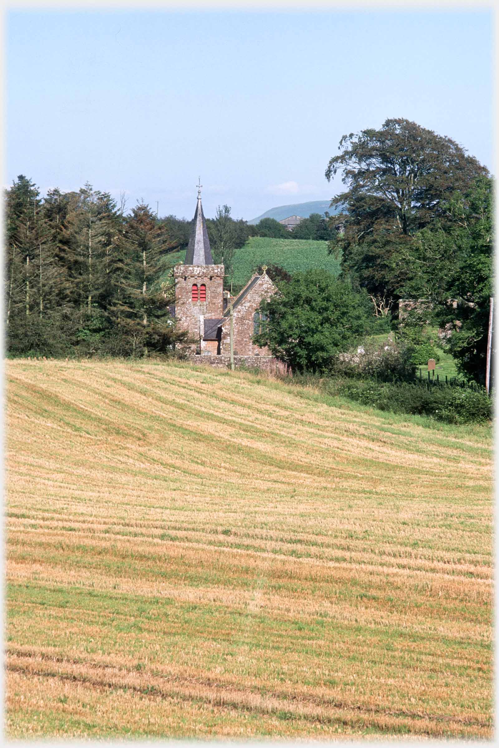 Field lines of cut corn, church between trees.