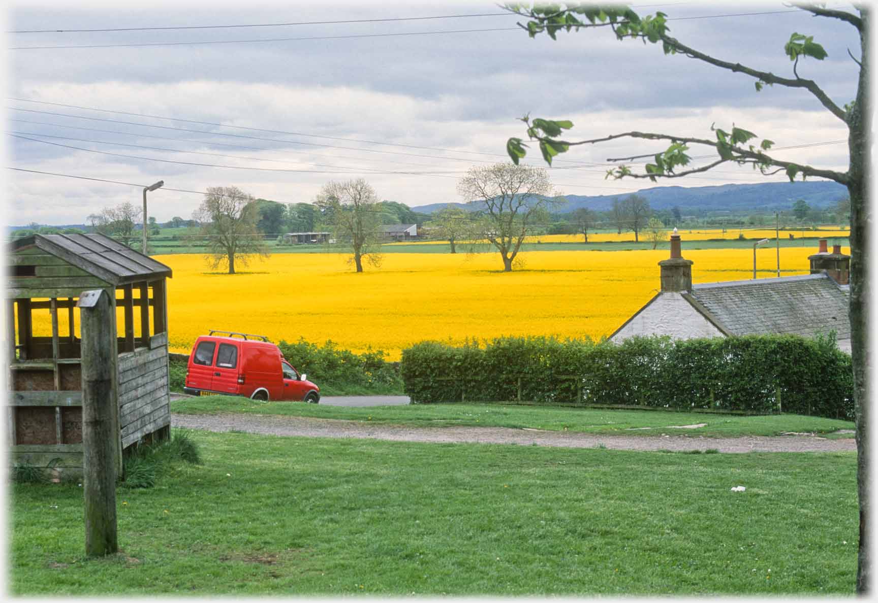 Yellow field, grass foreground, red van.