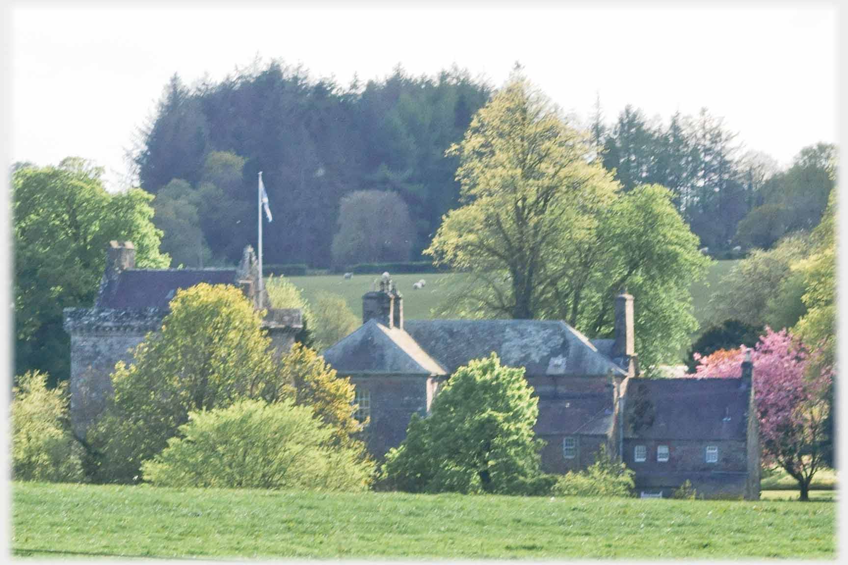 Tower and house among trees.