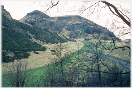 Space below hill seen through winter trees.