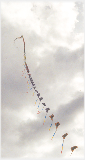 Many dozen kites attached to a line extending upwards.