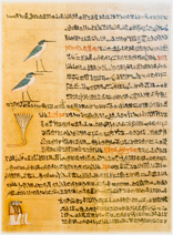 A papyrus of Hieratic text in the Cairo Museum.