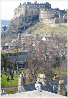 Near pigeon facing castle across cemetery.