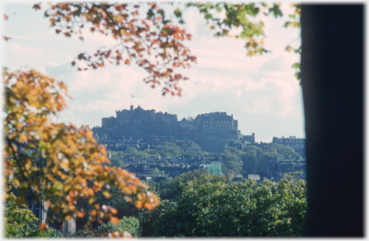 Castle framed by leaves and tree trunk.