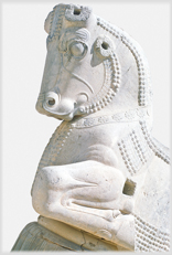 Carved bull capital in white stone.