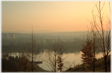 Winter trees with loch and evening light.