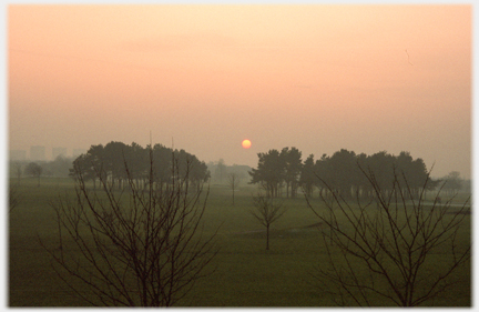 Orb of sun between two clumps of trees.