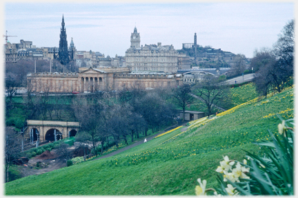 Foreground of grass with buildings beyond.