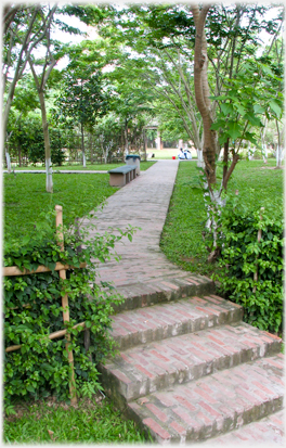 Path and steps between lawns.