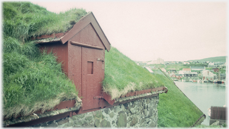 Turf roof.