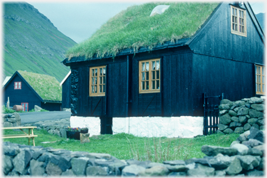 Turfed roof house.