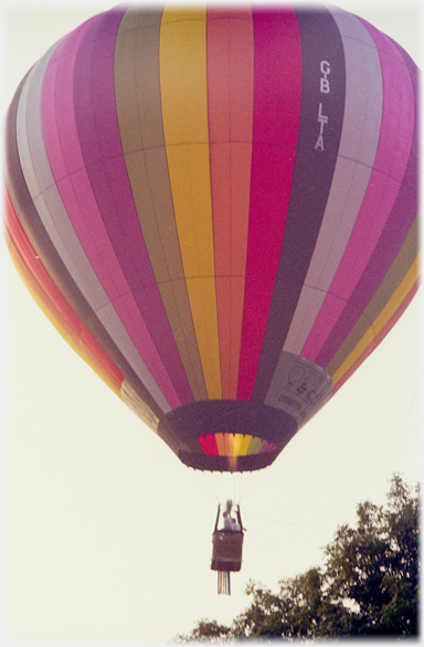 Striped balloon over trees.