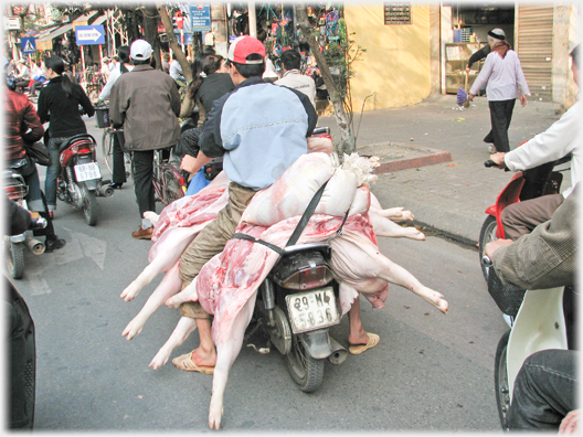 Carcasses on motorbike.