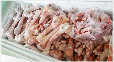 Stock bones in freezer.
