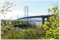 Forth Road Bridge.