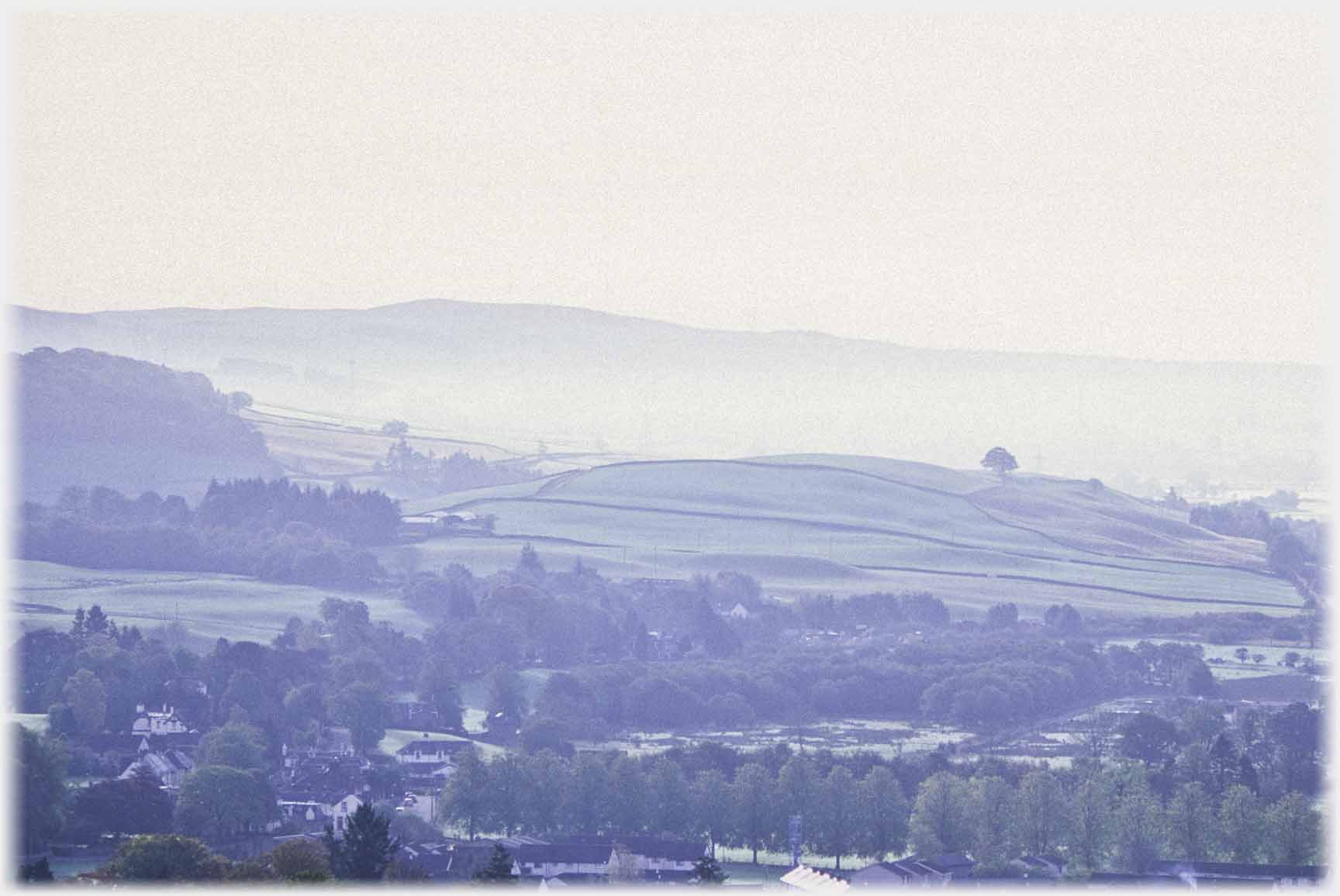 Evening darkening trees with lighter field standing up, on its fields a single tree.