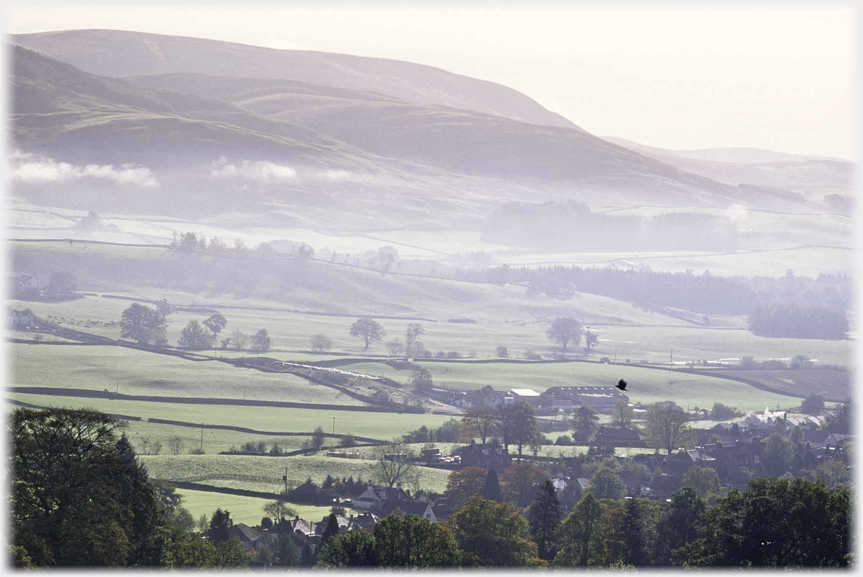 Lines of mist below hill.