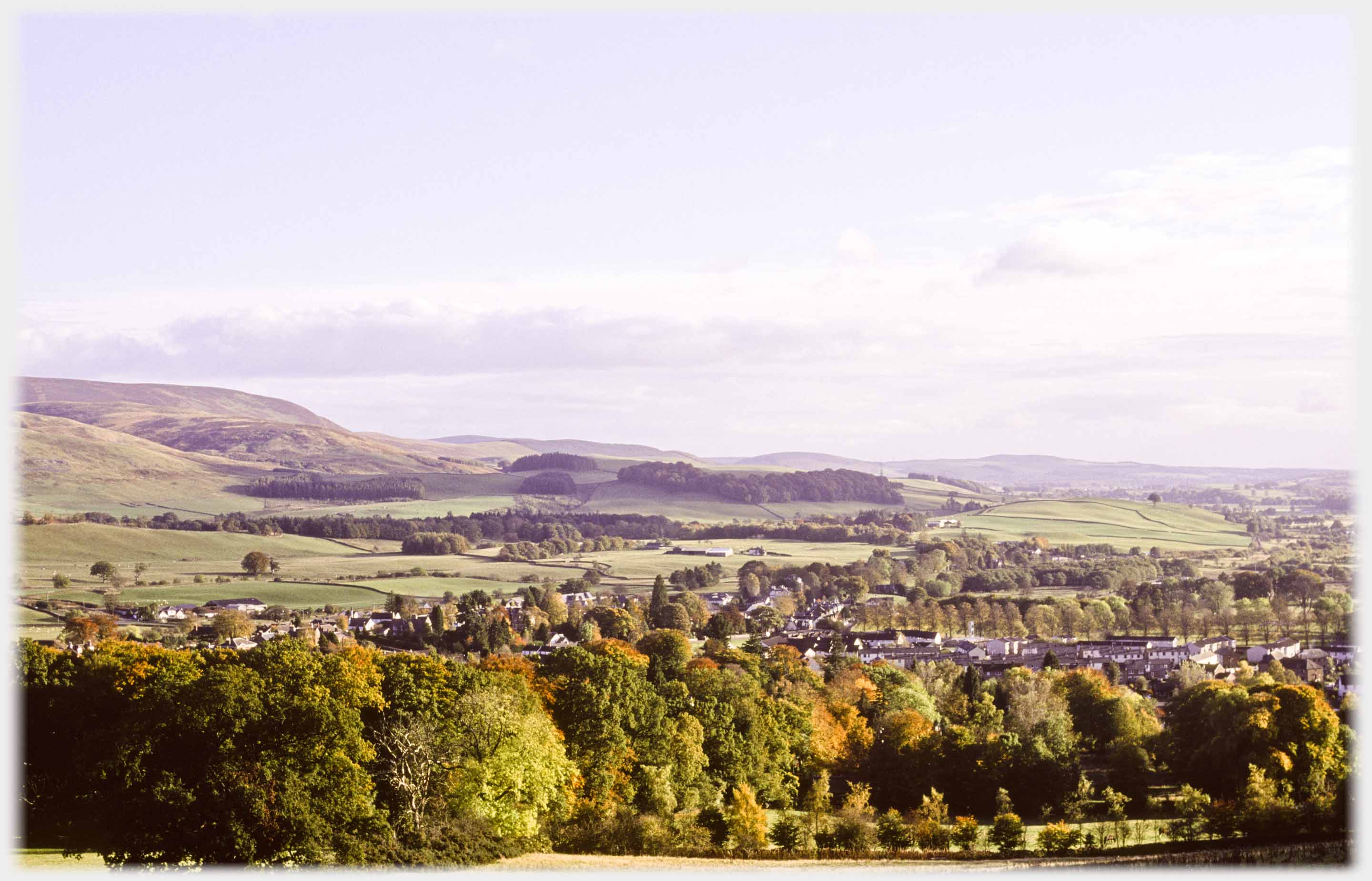 Open landscape with many trees in foreground, hills to the left.