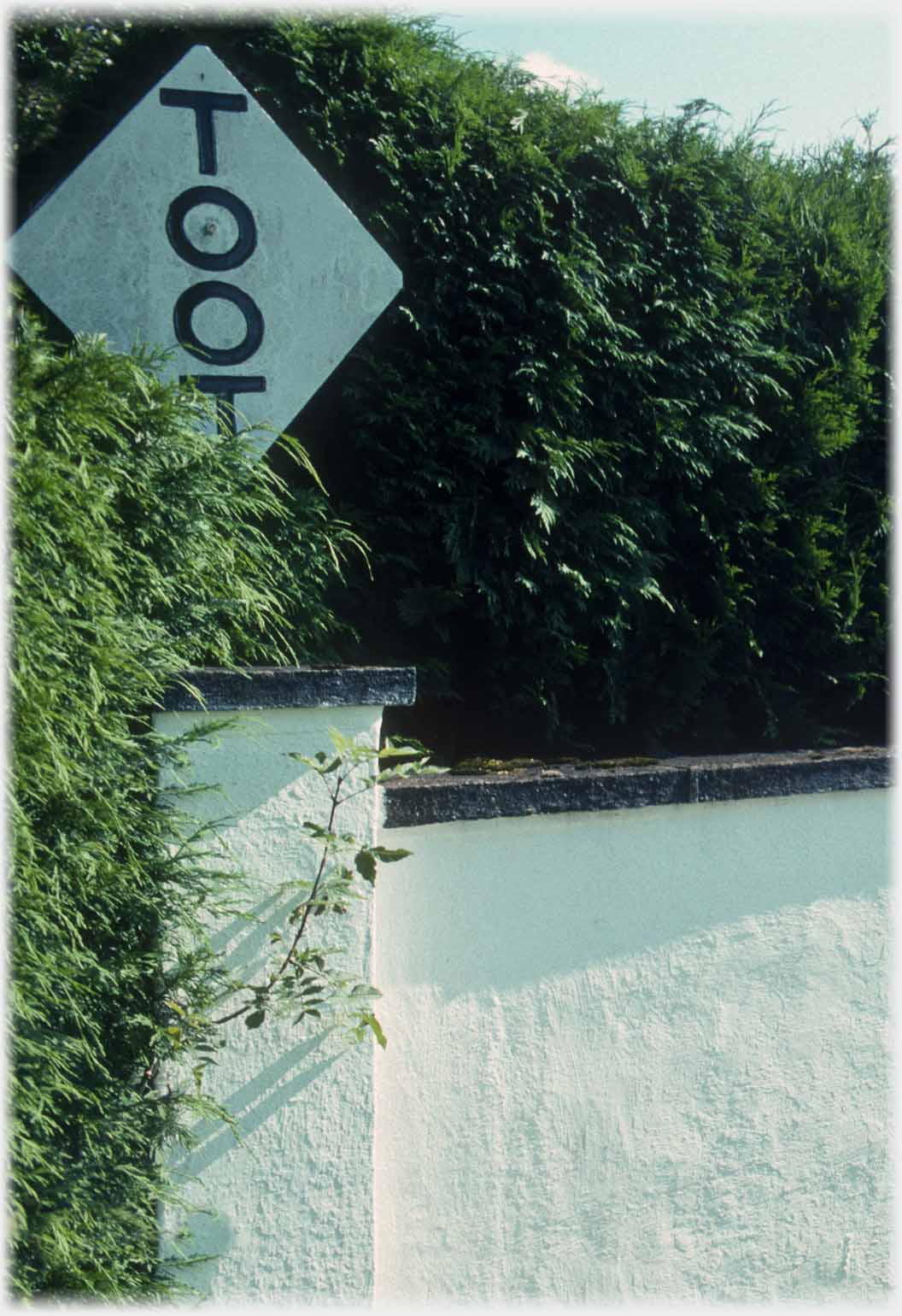 Diamond shaped sign on post in hedge, with word Toot.