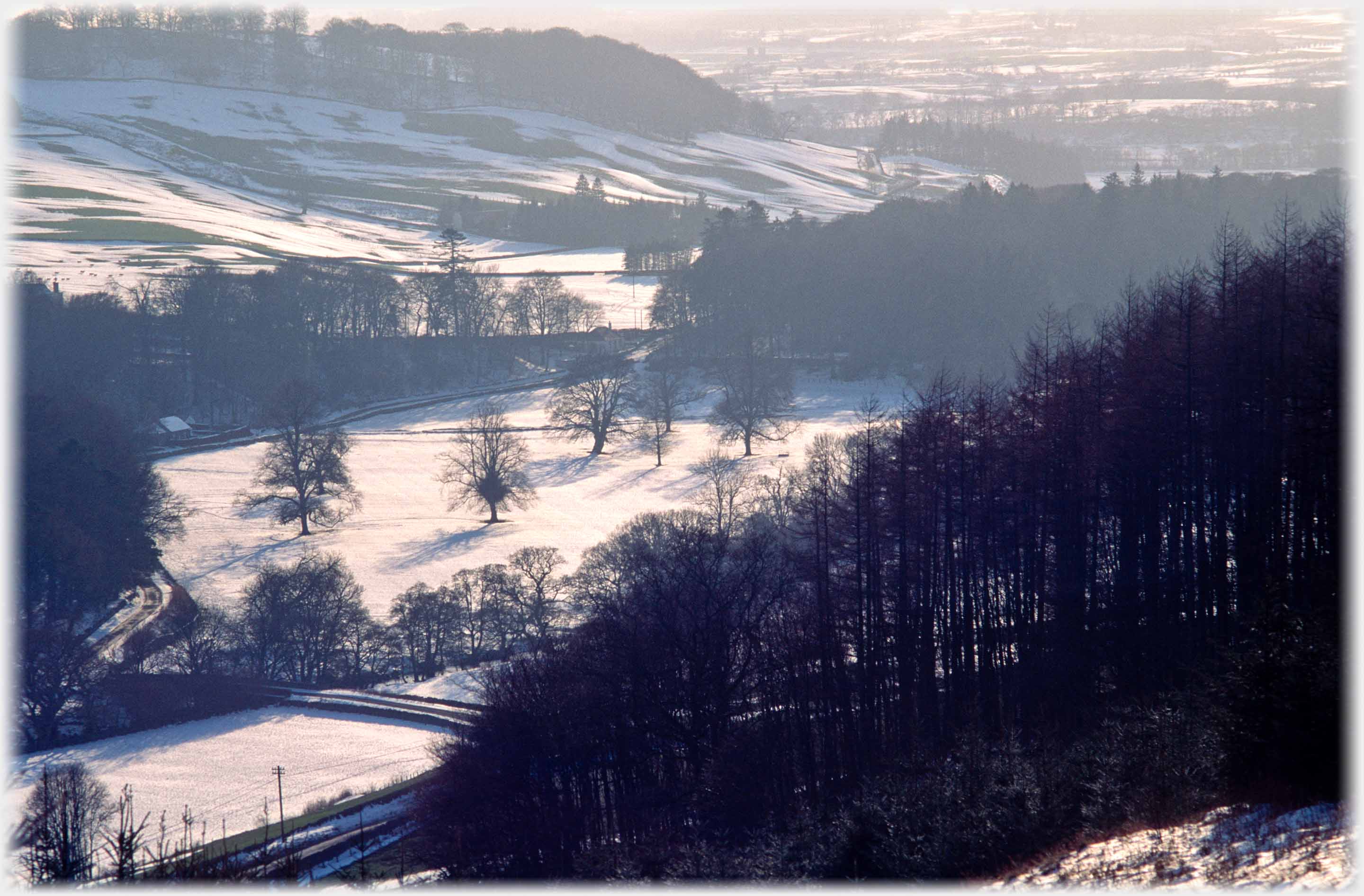 Looking down to snow covered field, over winter trees, seperate trees standing in field.