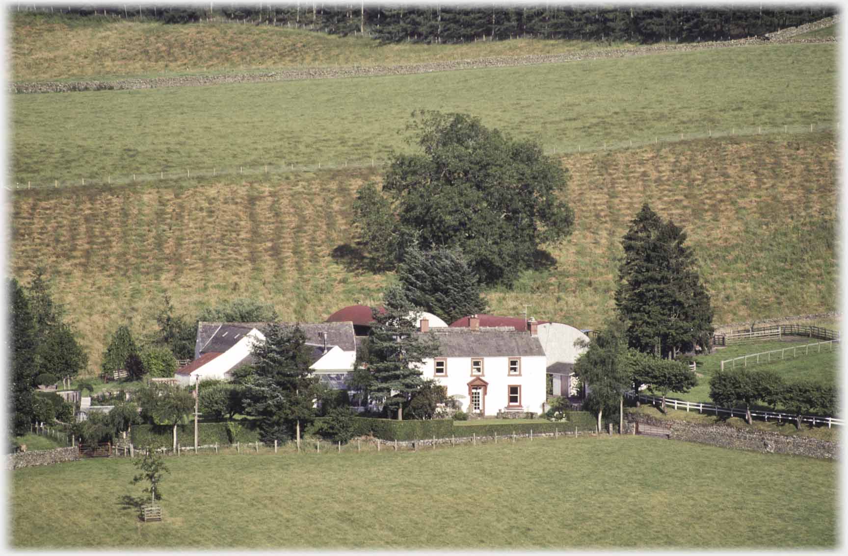 Farmhouse and buildings with trees.
