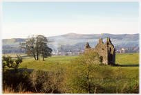 Distant hill framed by two trees.