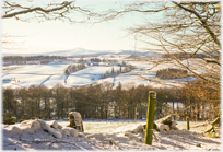 View across fields and rooftops to wooded low hill.