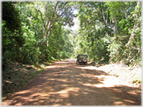 Road through thick trees with Jeep parked.