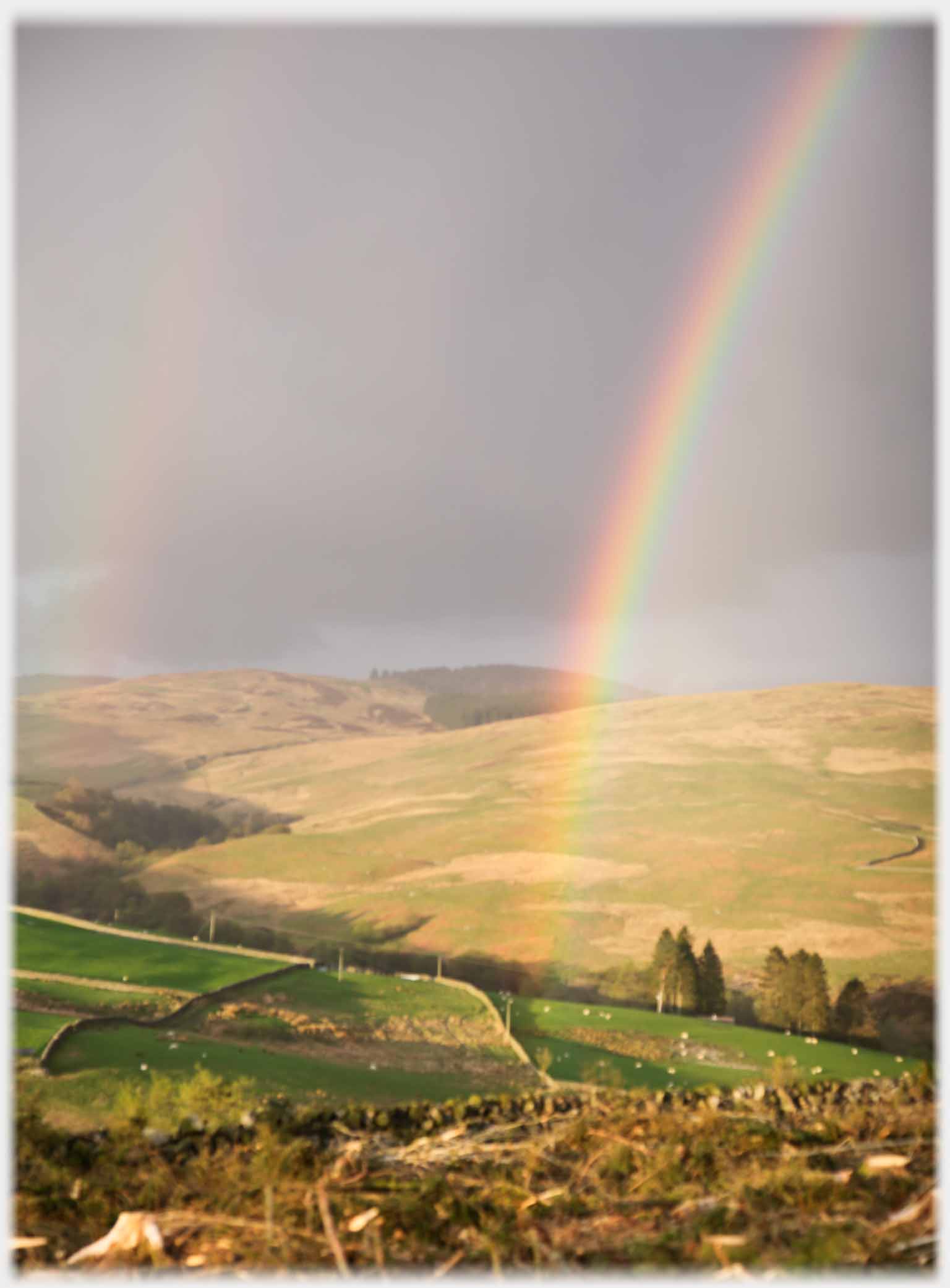 Rainbow hitting fields, felling debris in foreground.