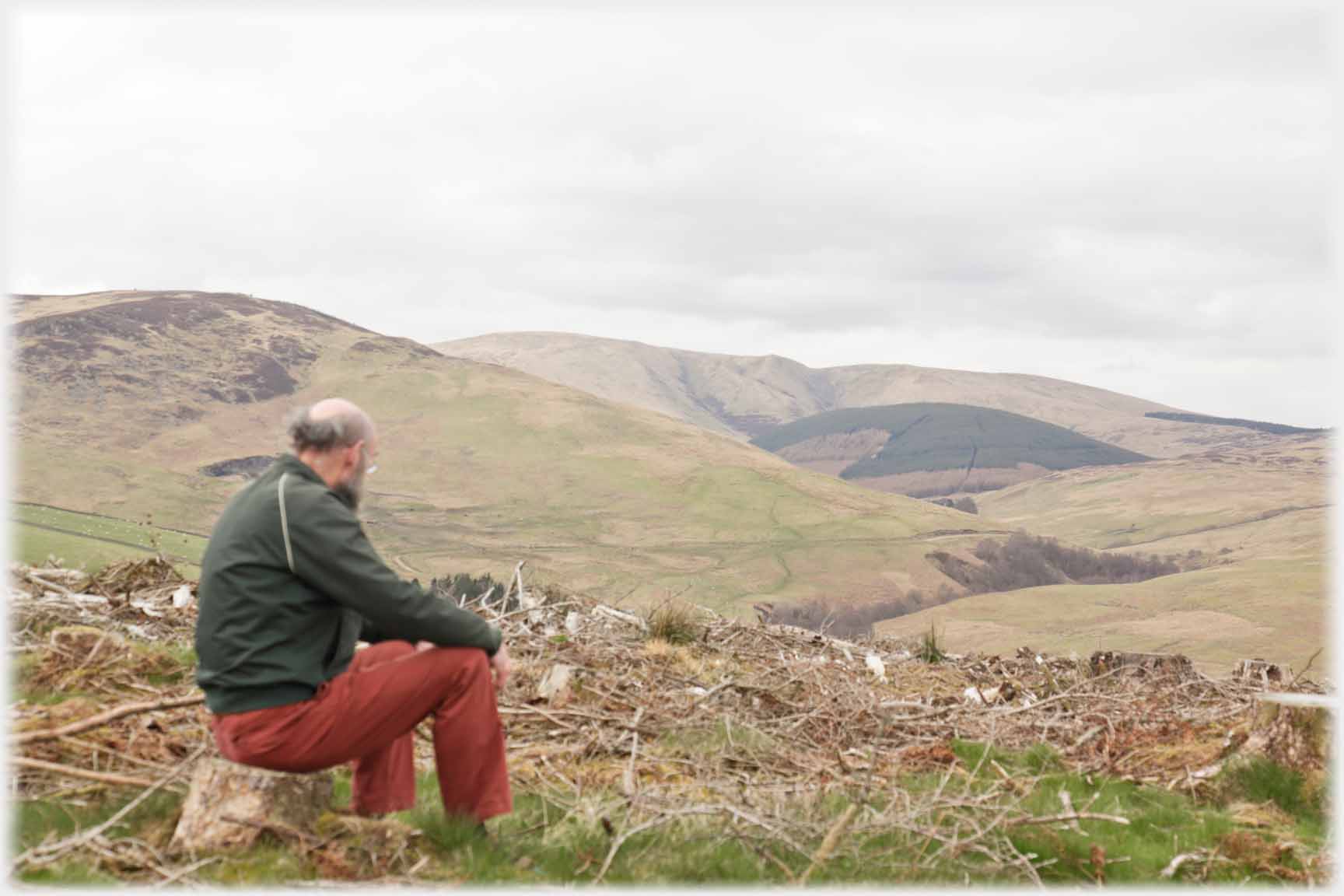 Me sitting on stump looking over debris of tree felling towards hills.