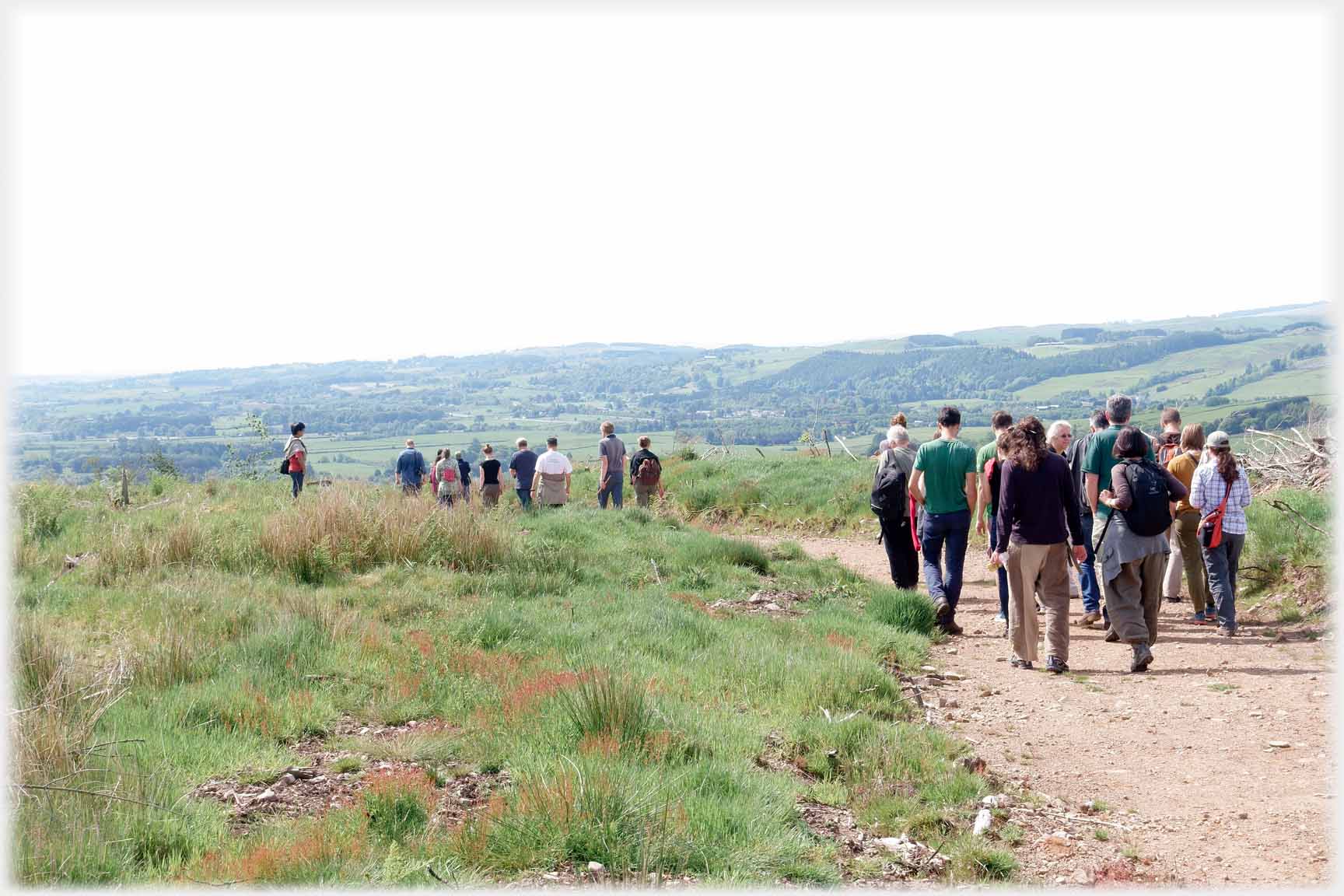 Larger group walking along path.