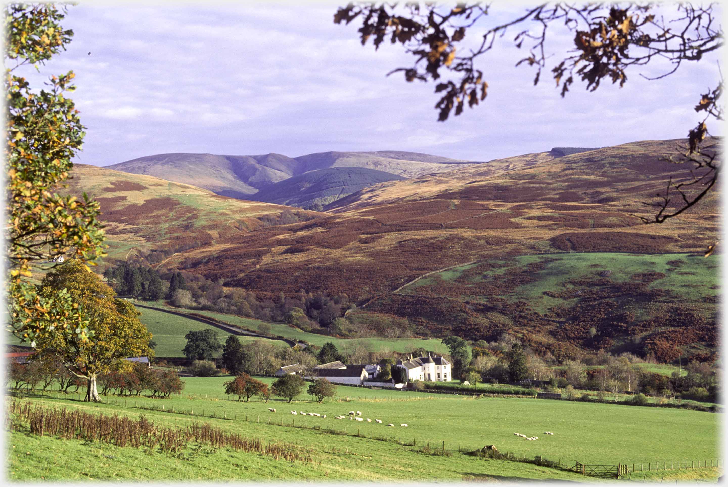 Fields dropping down to house, bracken covered hillsides rising to far hills.