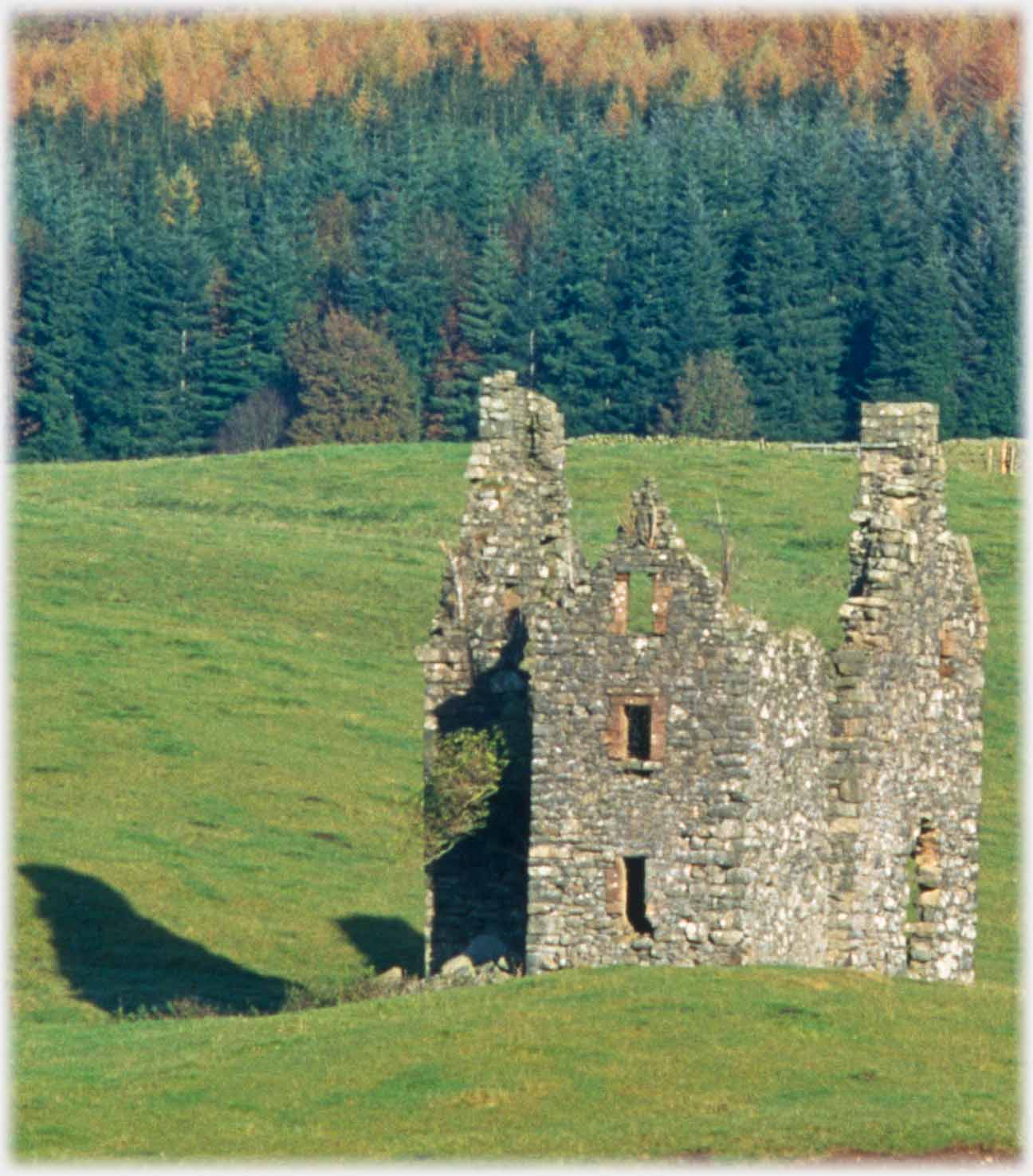 Closer shot of the tower house.