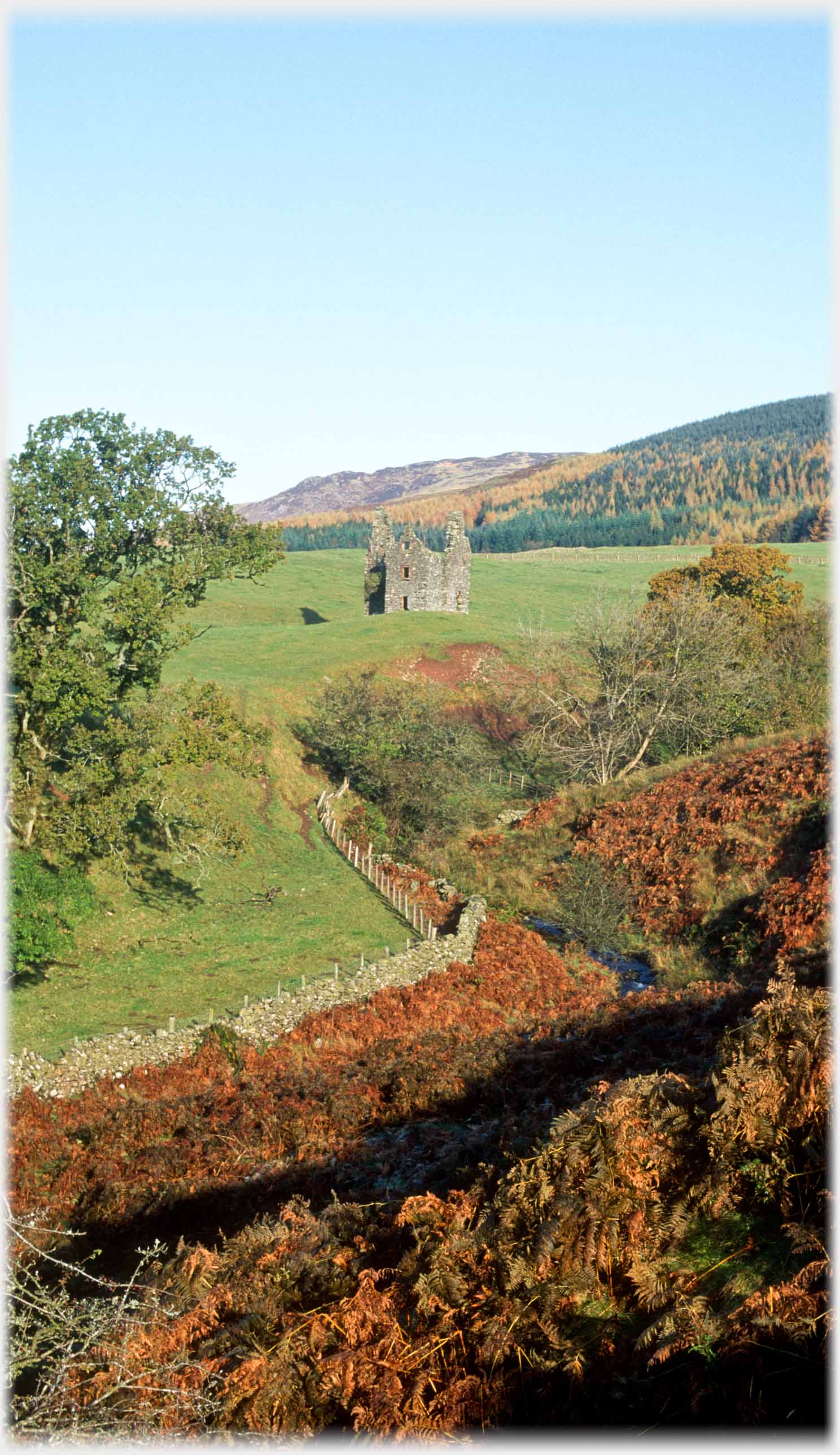 Defile with orange bracken, ruined tower on fields beyond.