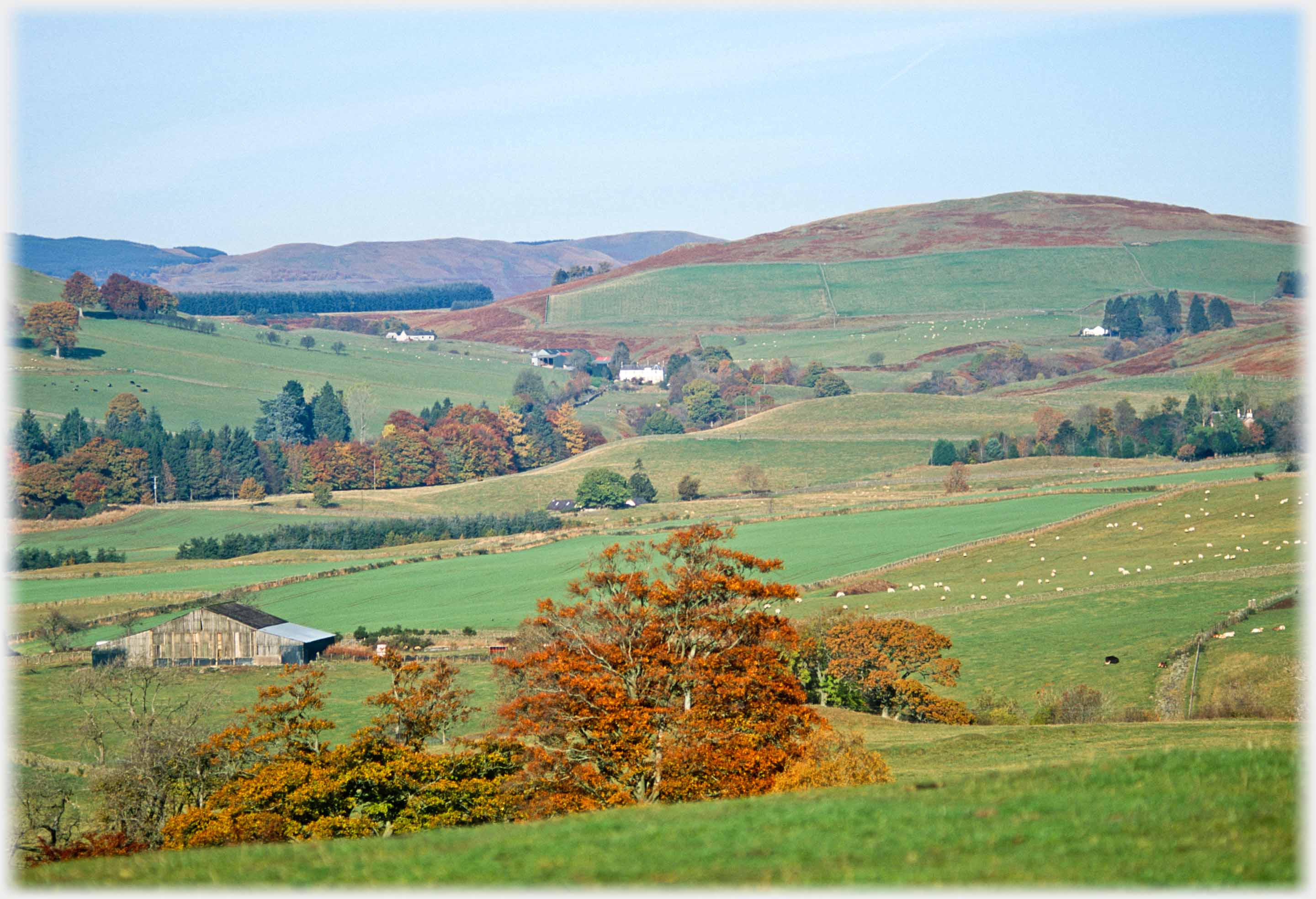 Wide valley area with treed dip and scattered trees. Four sets of building are distinguishable.