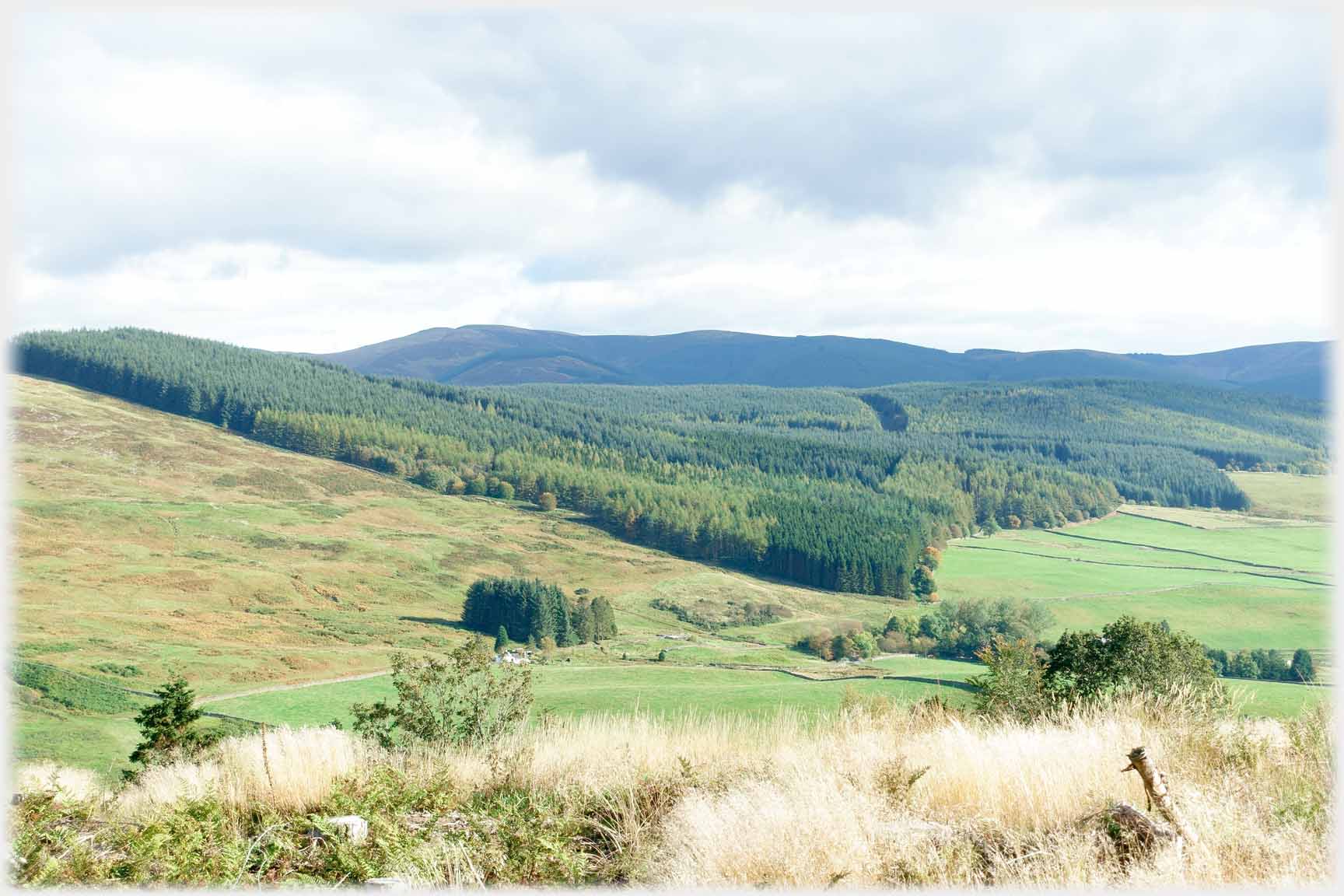 Hills into distance covered in forest. Clump trees centre foreground in fields.