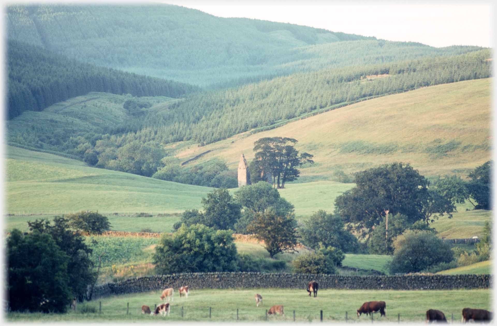 Treed fields and hills beyond, wall of ruin visible.