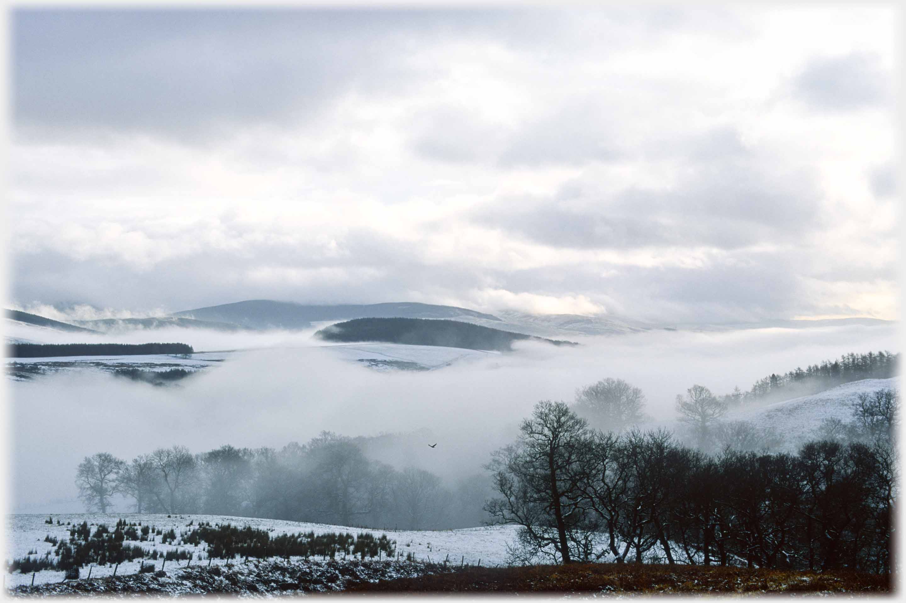 Black and white snow covered fields, trees, hills and clouds.