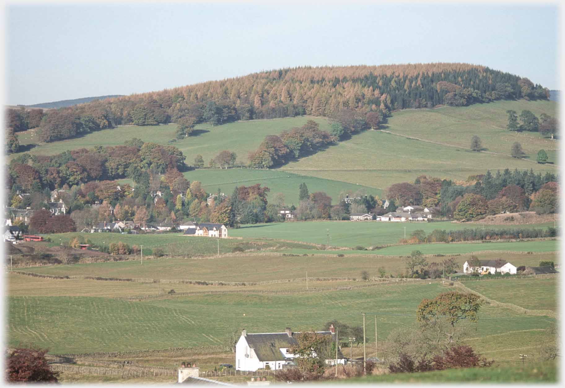 Treed hill, fields on slope, two houses in nearer fields.