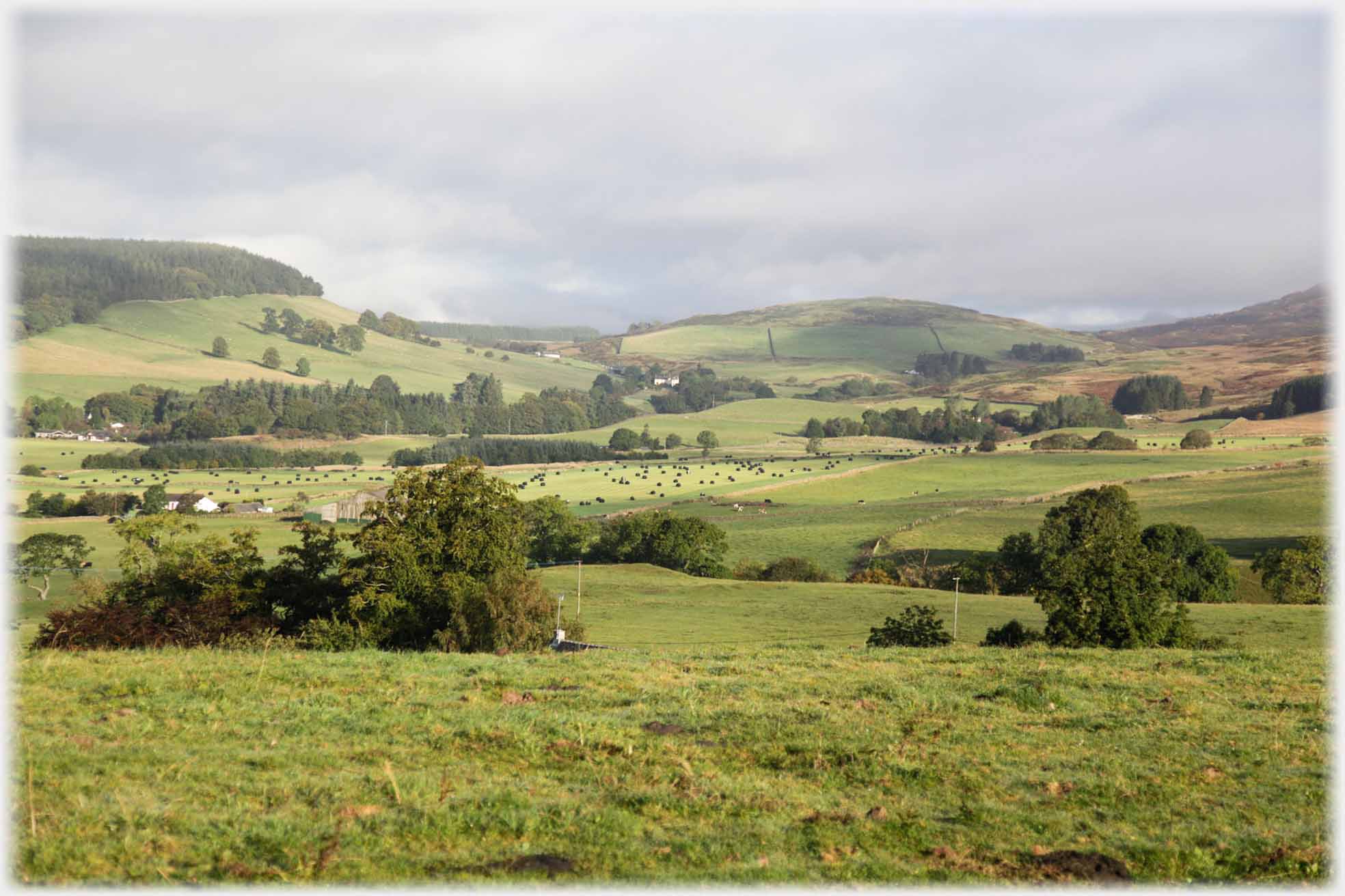 Trees and fields in wide valley, low hill to left anad ahead.