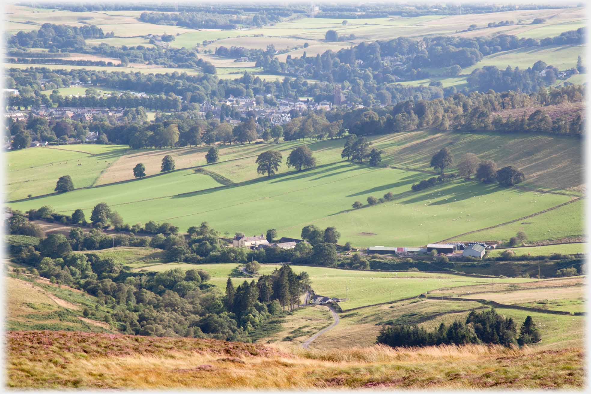 Gate field beyond in well treed landscape.
