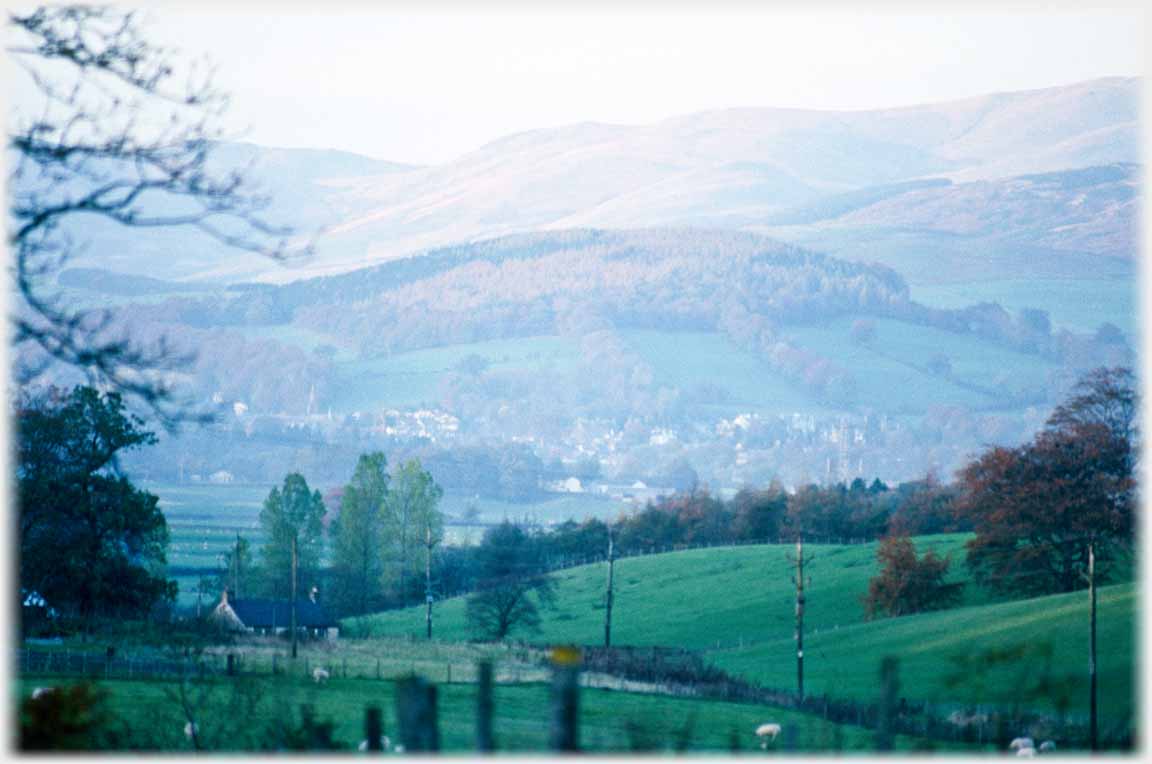 Soft autumn view of tree covered hill with houses at its foot.