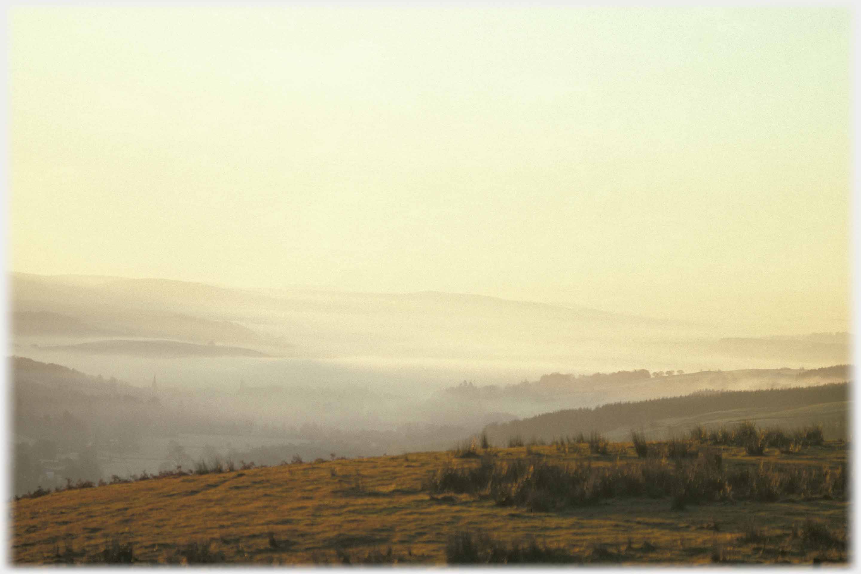 Wide valley filled with mists in strong yellow light with trees showing above mist.