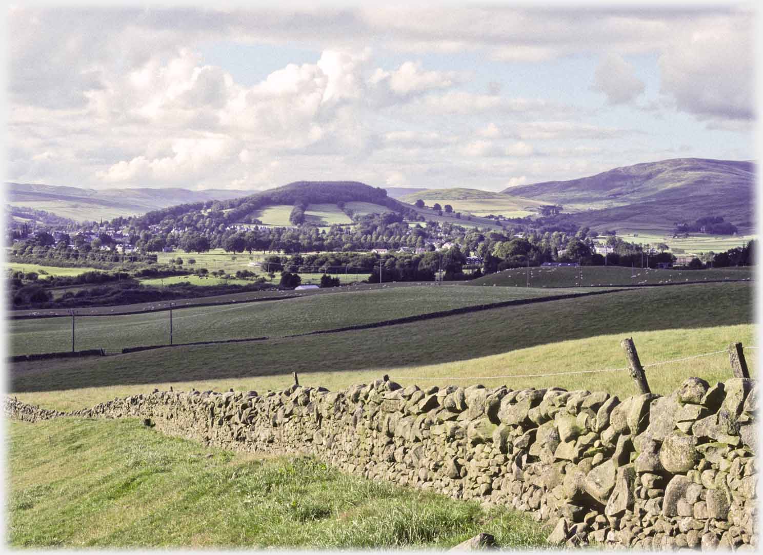 Dyke across foreground, hill with stripwoods in centre distance.