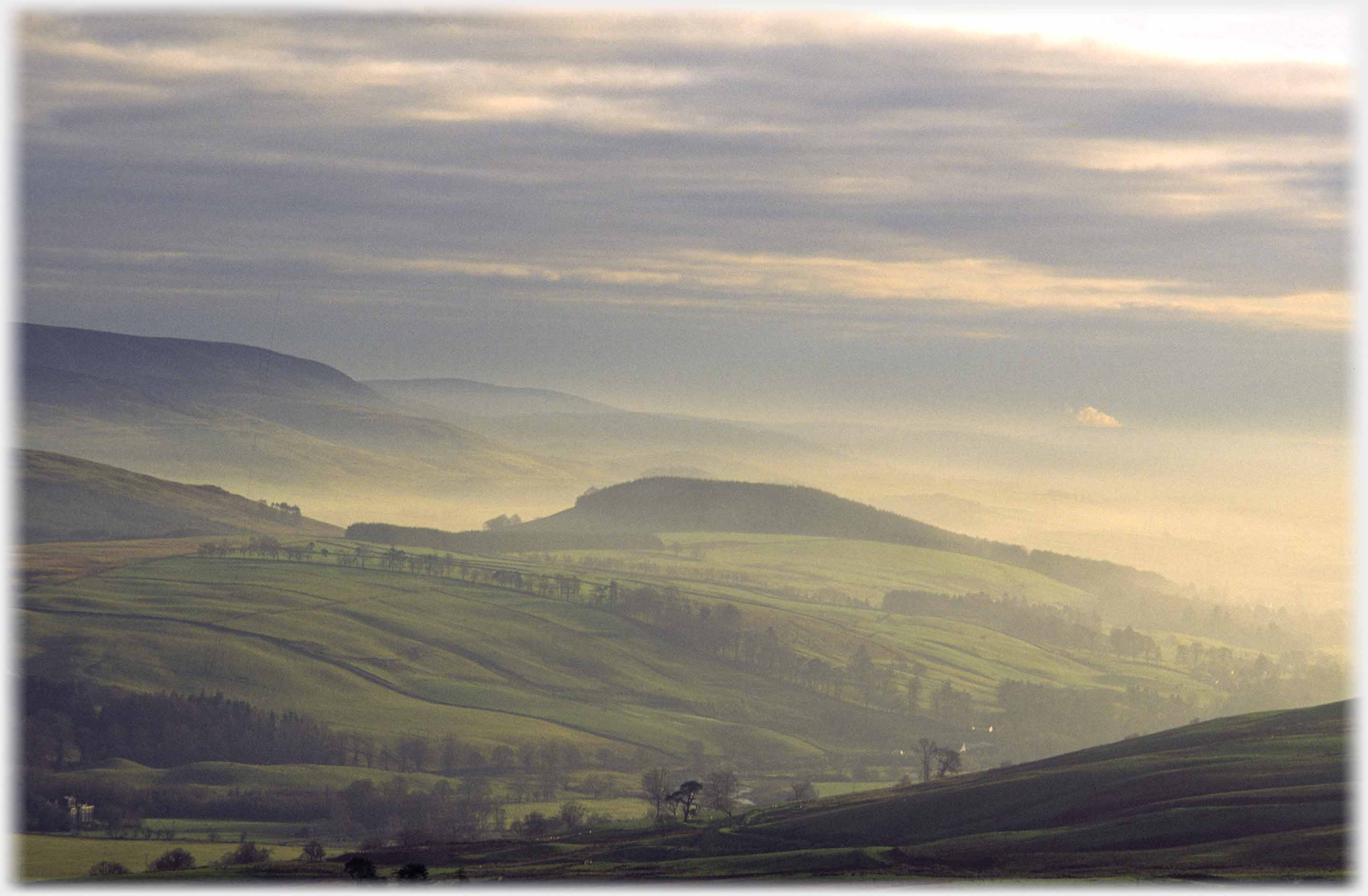 Evening light on mist around tree capped hill.