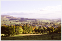 Distant hill framed by two trees.