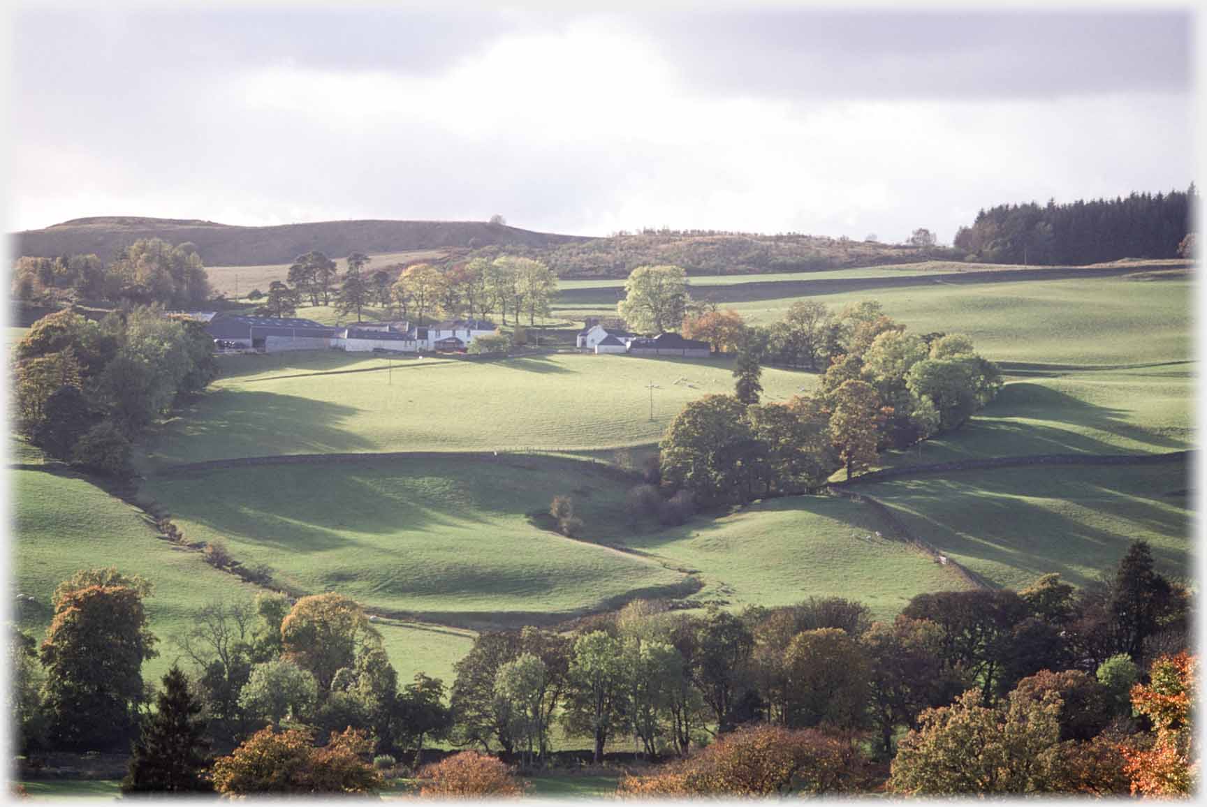 Low light on fields with curve of trees and farm at top of curve.