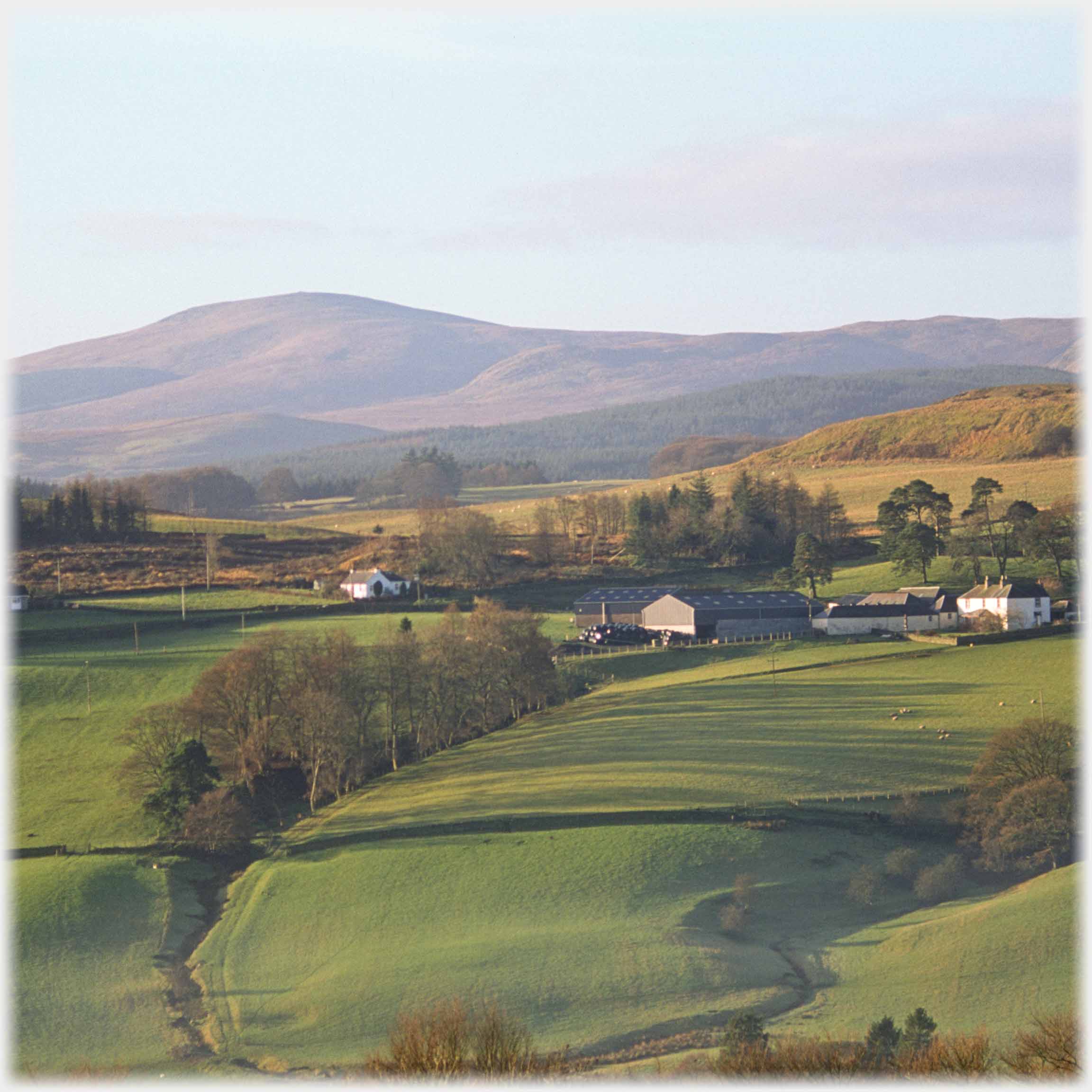 Hill rising apparently close to farm and cottage, low light on trees and fields in foreground.