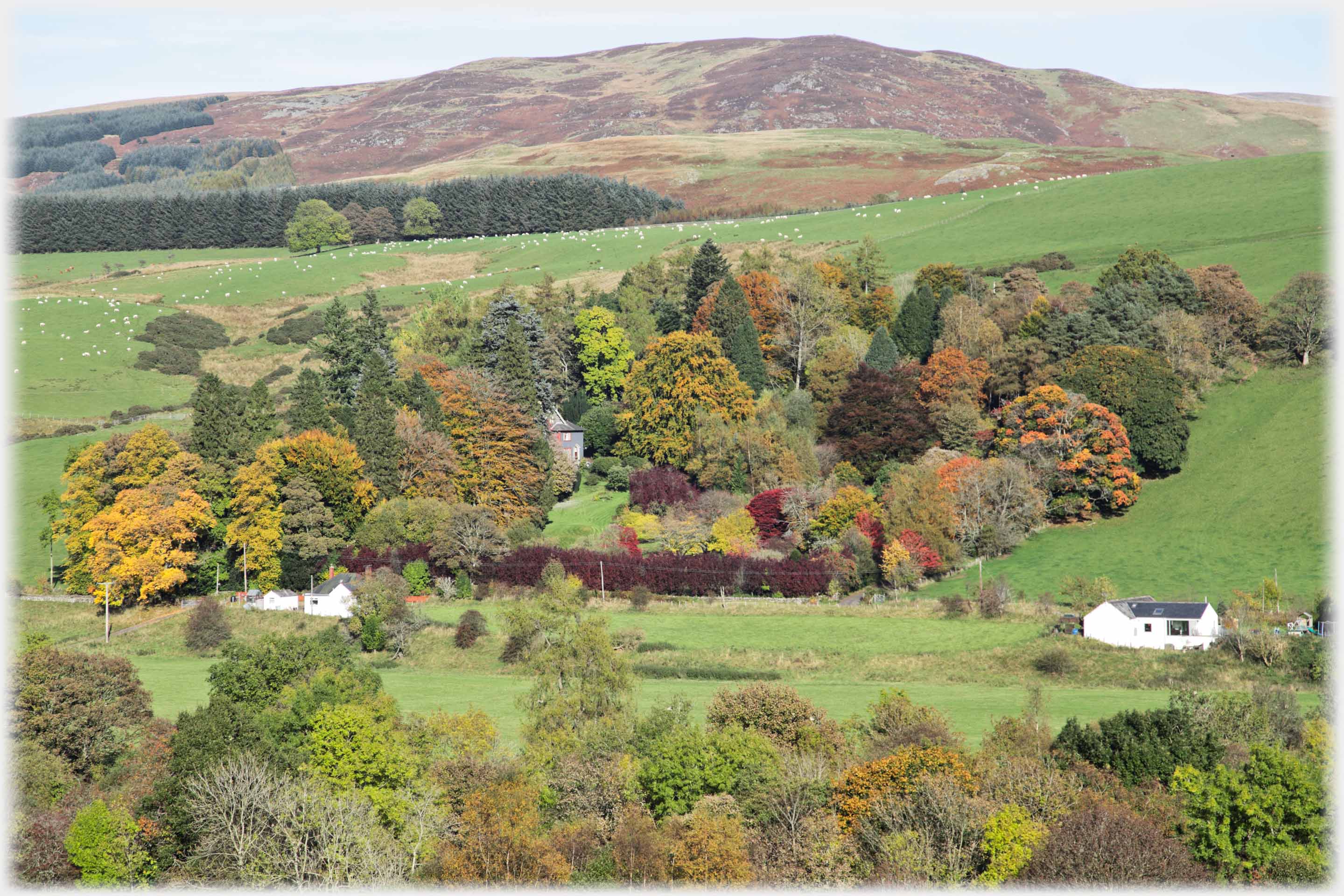 Large completely treed garden, with house just showing, amidst fields, hill in background.