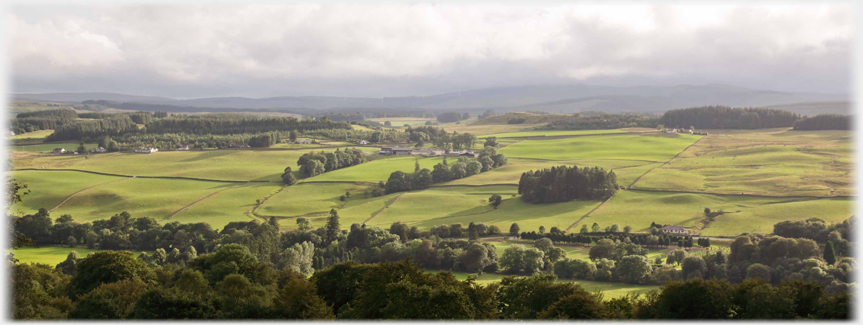 Panorama of fields with trees below and clouds above.